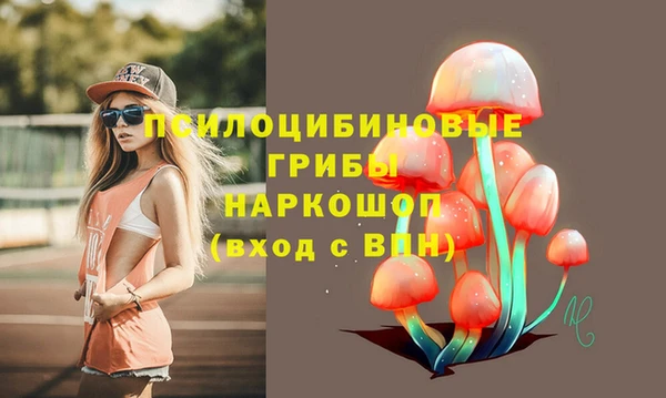 ешки Остров