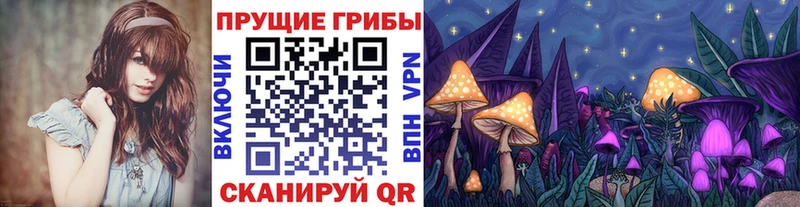 Галлюциногенные грибы Psilocybe  купить наркоту  Лакинск 